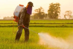 Thái Lan cấm 3 hóa chất nông nghiệp độc hại