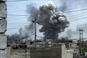 Pháp không kích IS ở Đông Bắc Iraq