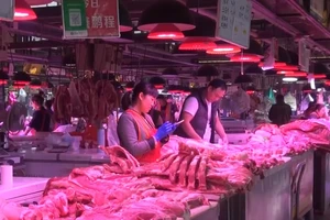 Giá thịt heo ở Trung Quốc đã tăng hơn gấp hai lần trong năm qua