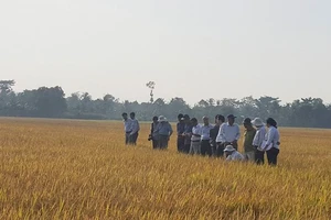 Thủ tướng đối thoại với nông dân lần thứ 2