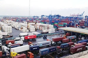 Hàng hóa thông quan tại cảng Cát Lái