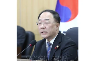 Phó Thủ tướng phụ trách kinh tế, kiêm Bộ trưởng Kế hoạch và Tài chính Hàn Quốc Hong Nam-ki. Ảnh: TTXVN