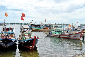 Đà Nẵng không có tàu cá vi phạm vùng biển nước ngoài