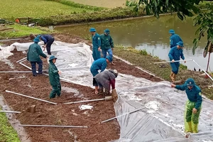 Lực lượng chức năng huyện Bảo Yên (tỉnh Lào Cai) xuống xã khắc phục dựng lại lều bạt cho người dân. Ảnh: TTXVN