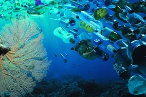 Rác thải nhựa đổ xuống biển tăng cao