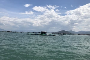 Phát triển nghề nuôi thủy sản trên biển Khánh Hòa
