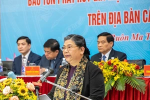 Phó Chủ tịch Thường trực Quốc hội Tòng Thị Phóng phát biểu tại Hội thảo. Ảnh: Baodantoc.vn