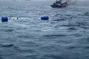 Chìm tàu, 7 ngư dân mất tích trên biển Côn Đảo