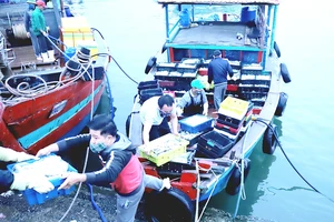 Lao động đi biển tại âu thuyền Cửa Sót, huyện Lộc Hà (Hà Tĩnh). Ảnh: DƯƠNG QUANG