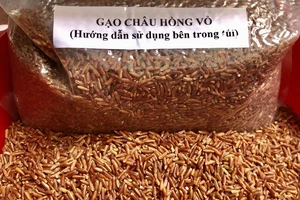 Gạo lứt Châu hồng võ do KS Lê Quốc Việt sản xuất ở Kiên Giang. Ảnh: THU NGUYỄN