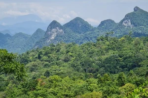 5 triệu USD quản lý bảo tồn đa dạng sinh học ở Quảng Bình 