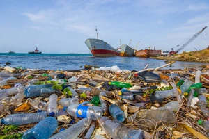 Góp sức giải quyết ô nhiễm nhựa đại dương