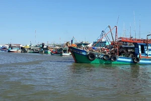 Đồng bằng sông Cửu Long: Phát triển bền vững nghề cá 