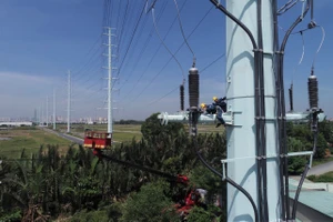 EVNHCMC đóng điện hoàn thành đường dây 110kV Phước Long - Cát Lái
