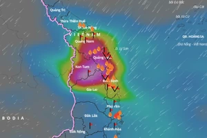 Đến chiều 28-11, khu vực từ Thừa Thiên - Huế đến Ninh Thuận và Tây Nguyên có mưa to