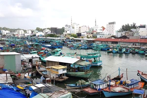 Khoảng 3.000 tàu cá ra vào, neo đậu thường xuyên góp phần gây ô nhiễm sông Dương Đông