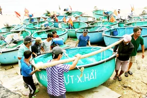 Ngư dân xã biển Xuân Hải (thị xã Sông Cầu, Phú Yên) di dời thuyền thúng để tránh bão. Ảnh: NGỌC OAI
