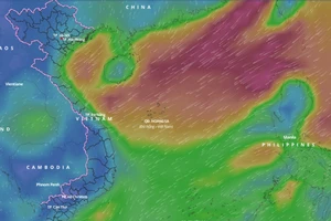 Ở vịnh Bắc bộ, vùng biển từ Quảng Trị đến Cà Mau và nhiều khu vực ở Biển Đông, không khí lạnh đã gây ra gió mùa Đông Bắc cấp 6 đến 7, giật cấp 9. Ảnh: vndms