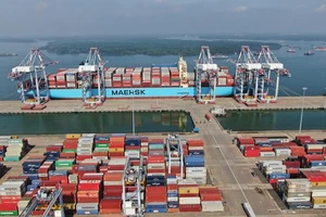 Bà Rịa - Vũng Tàu: Hàng container qua cảng biển tăng 11%