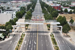 Trong năm 2021, huyện Bàu Bàng đã thu hút được gần 810 triệu USD vốn đầu tư trực tiếp nước ngoài