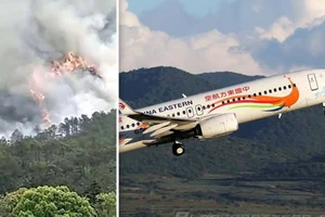 Chiếc máy bay Boeing 737 của hãng hàng không China Eastern Airlines bốc cháy khi gặp nạn. Ảnh: kanyidaily.com