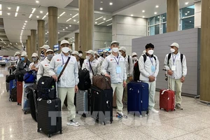 Cấp tỉnh được quyết định đưa lao động đi Hàn Quốc