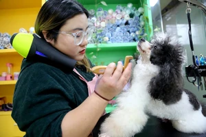 Dịch vụ chăm sóc thú cưng ở Liên Vân Cảng, tỉnh Giang Tô. Ảnh: China Daily
