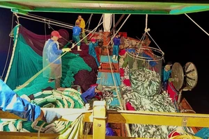 Tuyên dương người trúng 250 tấn cá