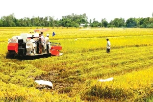 Triển khai kế hoạch “tăng trưởng xanh” trong nông nghiệp
