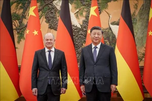 Chủ tịch Trung Quốc Tập Cận Bình hội đàm với Thủ tướng Đức Olaf Scholz. Ảnh: TTXVN
