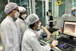 Các chuyên gia đang làm việc tại Trung tâm Tế bào gốc, Trường ĐH Khoa học tự nhiên (ĐH Quốc gia TPHCM)
