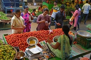 Giá cà chua ở Ấn Độ tăng mạnh trong năm nay