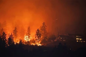 Cháy rừng tại tỉnh bang British Columbia, miền tây Canada, ngày 19-8-2023. Ảnh: REUTERS
