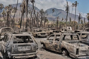 Những vụ cháy rừng tại Hawaii gây thiệt hại nặng nề về người và tài sản. Ảnh: New York Times