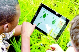 Ứng dụng công nghệ trong sản xuất nông nghiệp tại Kenya