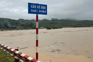 Nghệ An: Mưa lớn kéo dài, nhiều nơi bị ngập lụt, sạt lở
