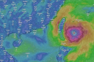 Đến 19 giờ ngày mai, 4-10, bão Koinu sẽ cách Đài Loan (Trung Quốc) khoảng 110km về phía Đông Đông Nam. Ảnh: Windy