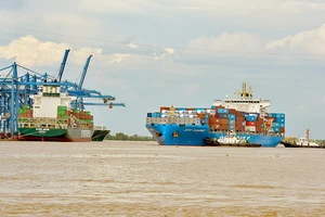 Tàu biển chở hàng vào cảng Tân Cảng Cát Lái. Ảnh: CAO THĂNG