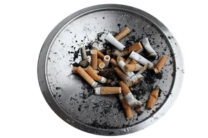 Tái chế đầu lọc thuốc lá làm nhựa đường