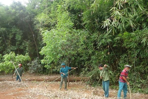 Cộng đồng nhận khoán rừng đặc dụng Vườn quốc gia Bù Gia Mập dọn ranh bảo vệ rừng