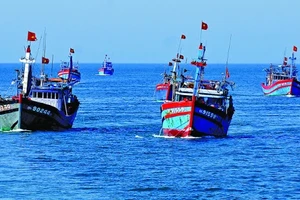 Bà Rịa - Vũng Tàu: Thực hiện cao điểm tuyên truyền phòng chống khai thác thủy sản bất hợp pháp