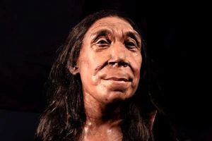 Phục dựng thành công khuôn mặt của một phụ nữ người Neanderthal sống cách đây 75.000 năm