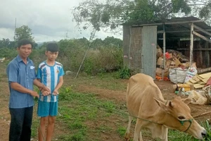 Ngay khi nhận tiền, xã Đăk Hring đã hướng dẫn gia đình em Phạm Văn Hải Dương mua bò về nuôi