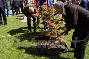 Đại sứ Nguyễn Minh Trí tham gia lễ trồng cây. Ảnh: Vietnam+