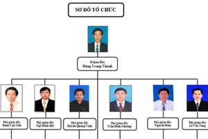 Sơ đồ tổ chức Sở TN&MT tỉnh Bình Định có 6 Phó Giám đốc Sở