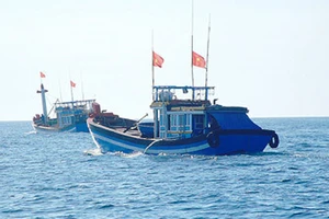 Ngăn chặn, chấm dứt tình trạng tàu cá Việt Nam đánh bắt trái phép ở nước ngoài
