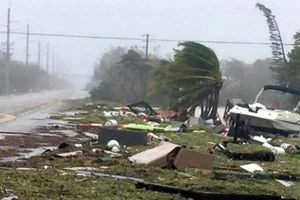 Hỗ trợ nhân dân Cuba khắc phục hậu quả sau bão Irma