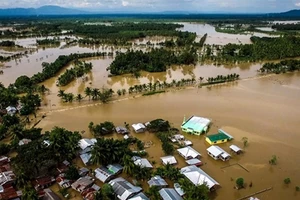 Philippines: 240 người thiệt mạng do bão Tembin