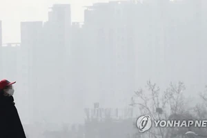Hàn Quốc khẩn cấp chống ô nhiễm
