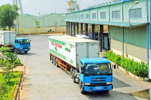 Nhiều doanh nghiệp Việt Nam chú trọng đầu tư hệ thống logistics